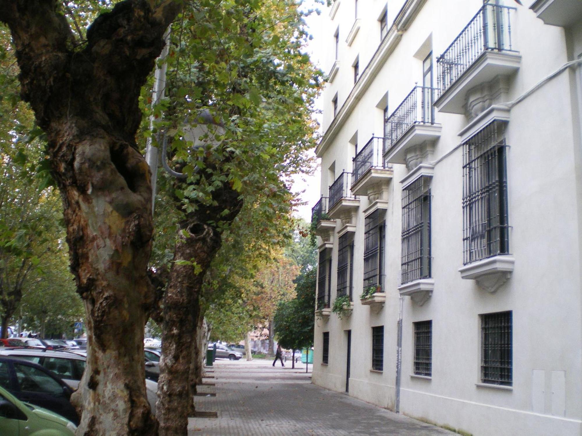 Apartamentos Murallas De Sevilla Extérieur photo