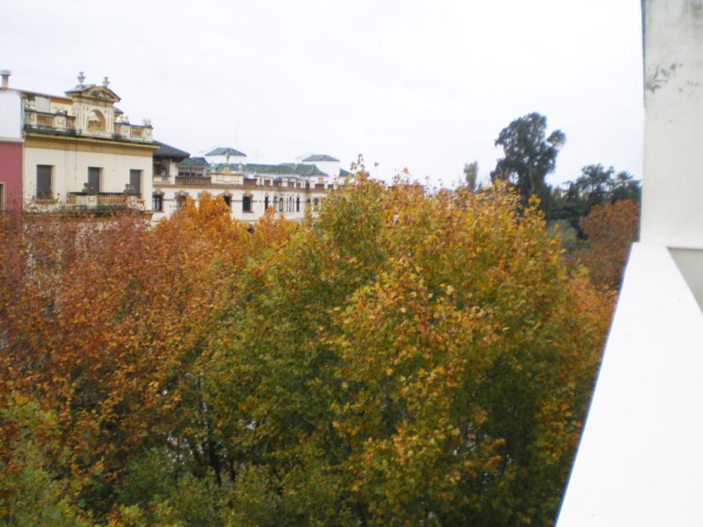 Apartamentos Murallas De Sevilla Extérieur photo